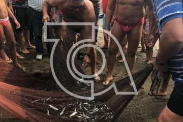 Melenara rememora el chinchorro y la varada del pescado (Foto TA)